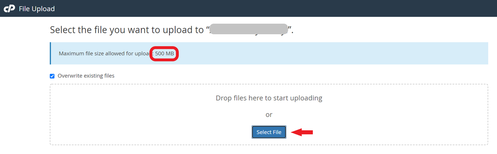 bluehost-file manager