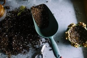 gardening niche