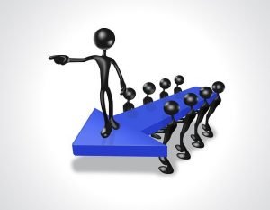 leadership niche